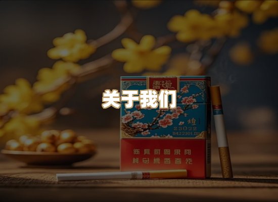 关于逸客网